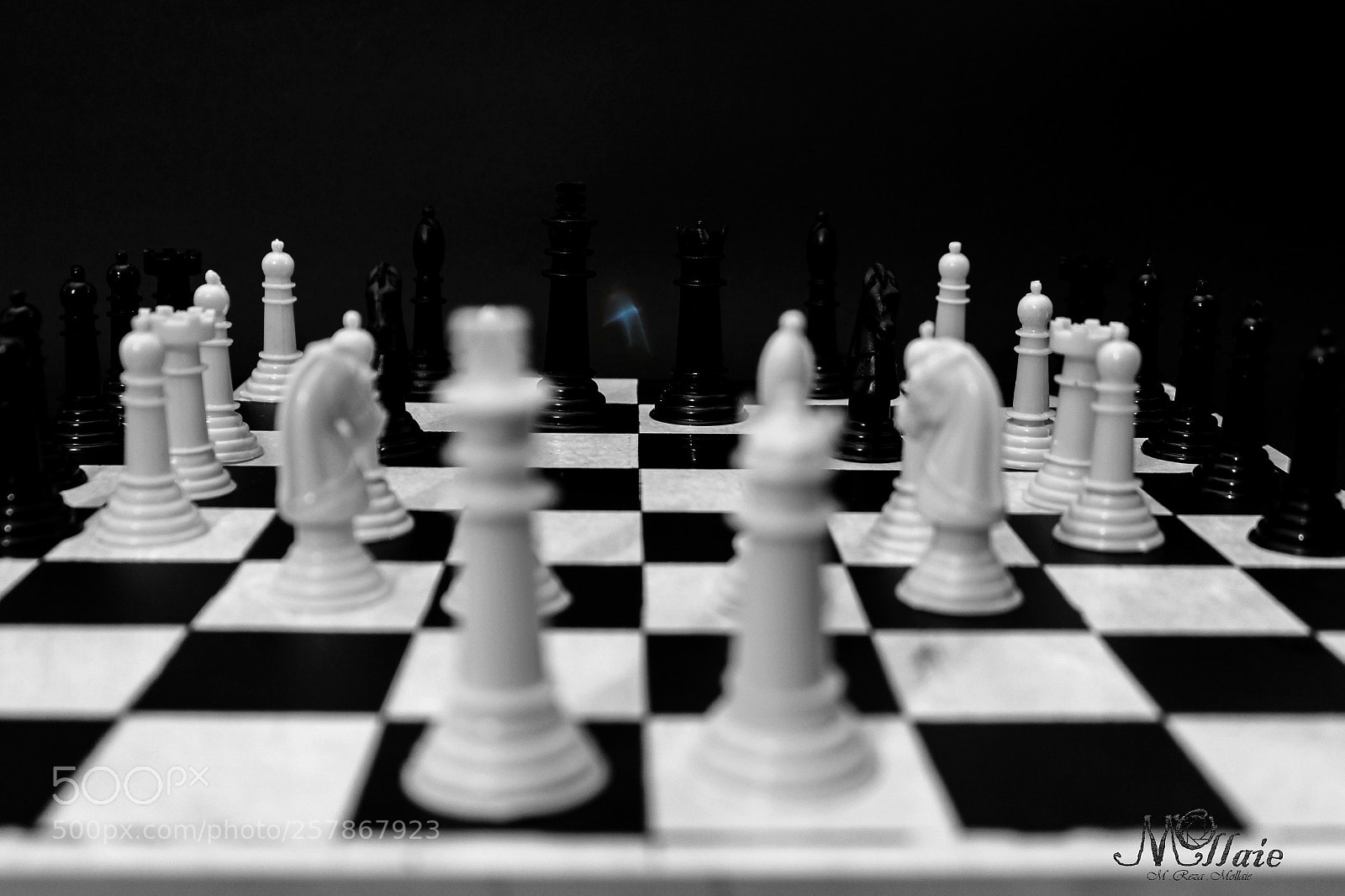Canon EOS 600D (Rebel EOS T3i / EOS Kiss X5) sample photo. Play the kings vocabulary photography