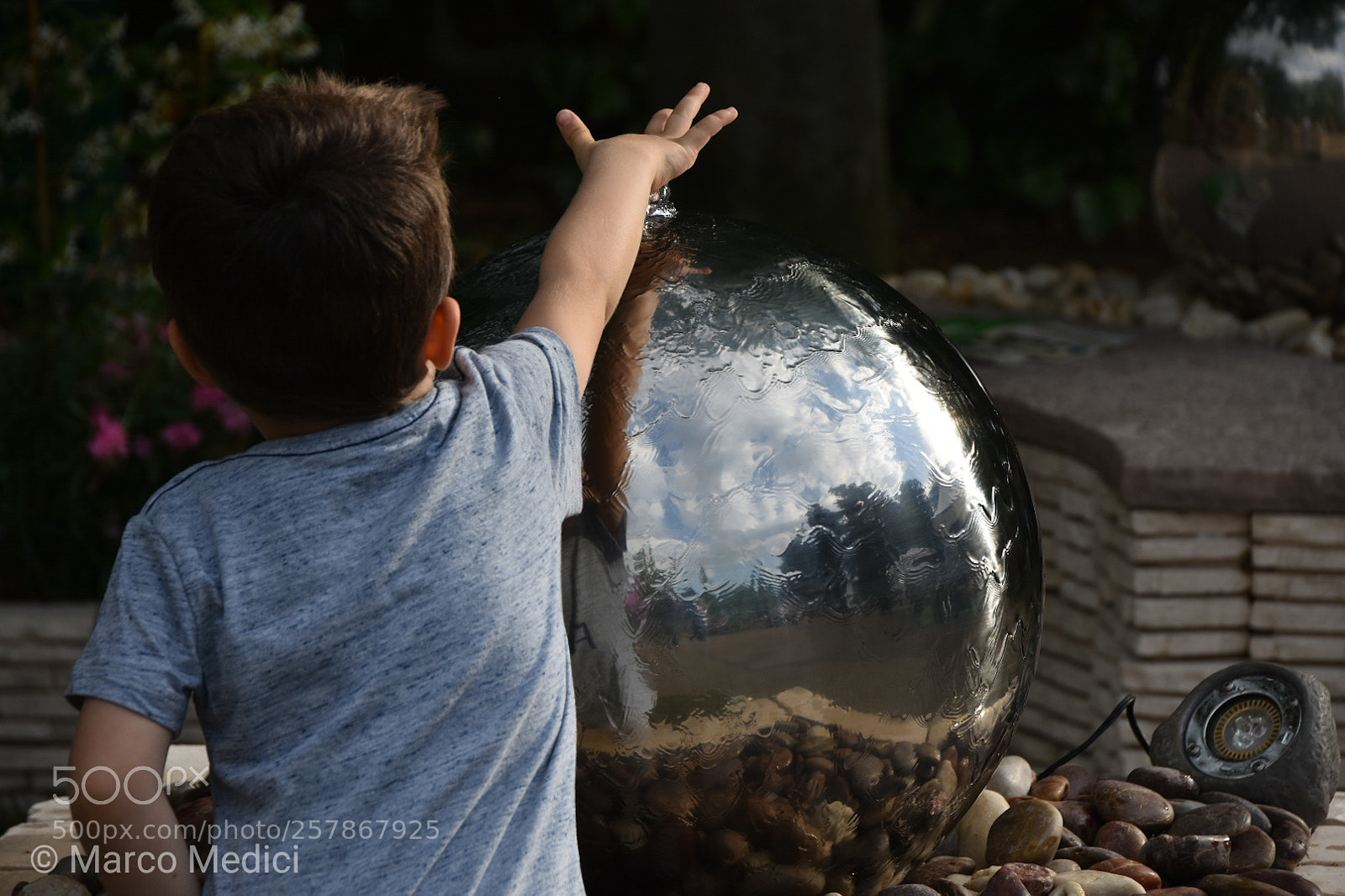 Nikon D7200 sample photo. Curious photography