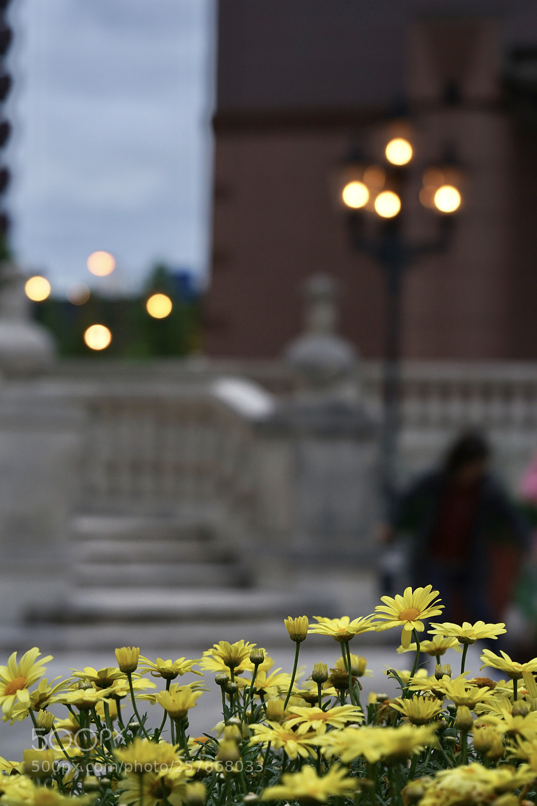 Sony a7 II sample photo. Twilight time. photography