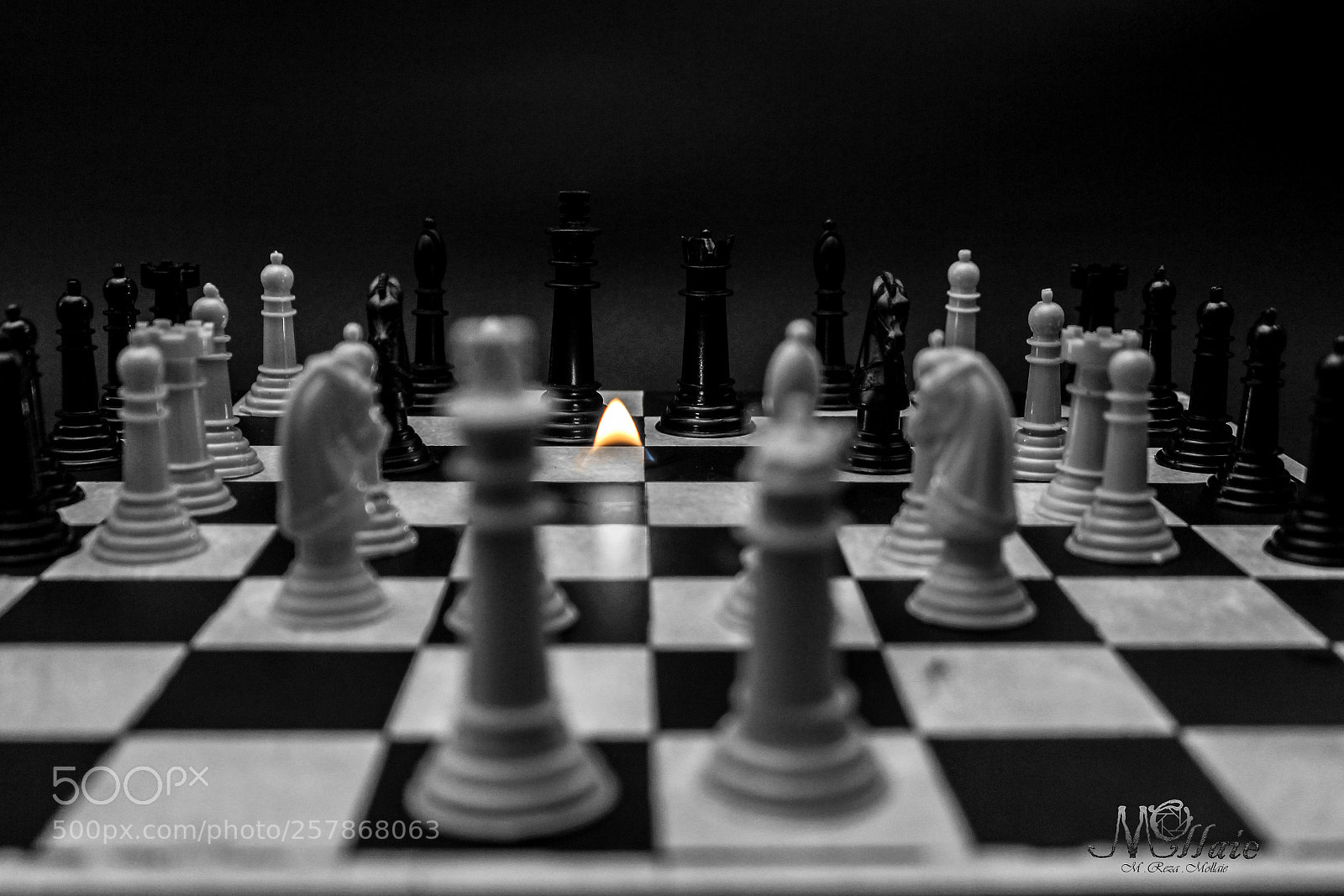 Canon EOS 600D (Rebel EOS T3i / EOS Kiss X5) sample photo. Play the kings vocabulary photography