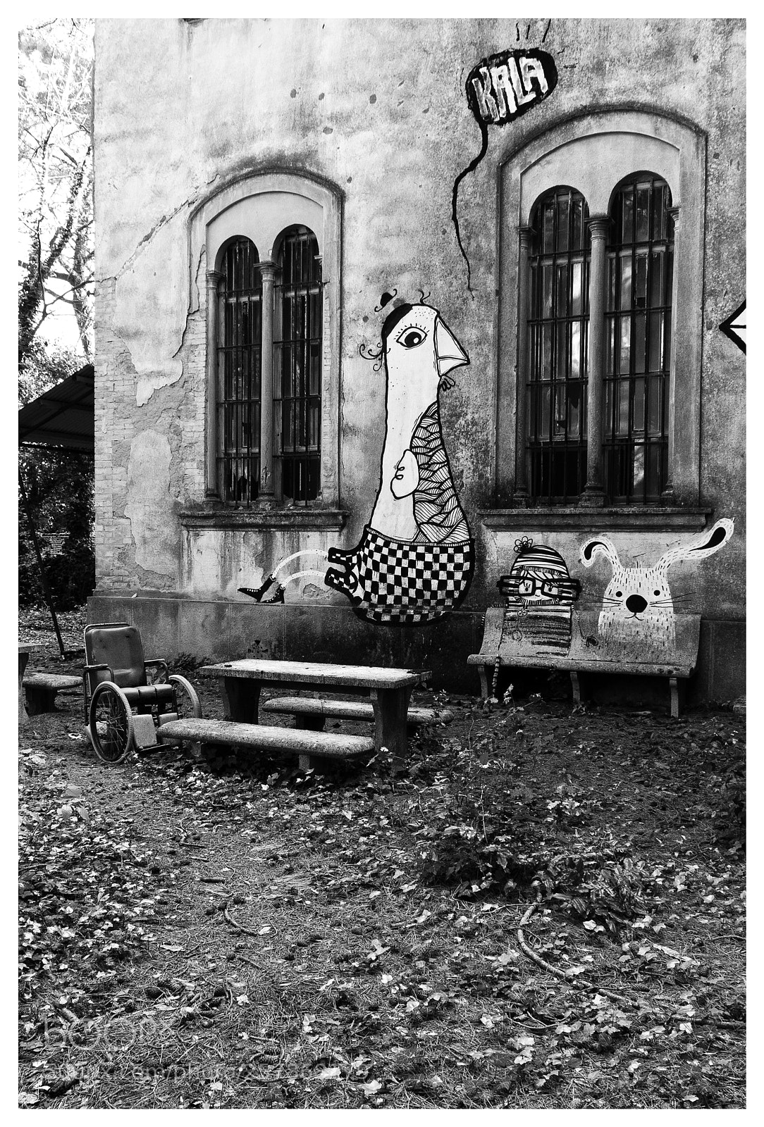 Canon EOS 500D (EOS Rebel T1i / EOS Kiss X3) sample photo. Mental hospital - madness photography