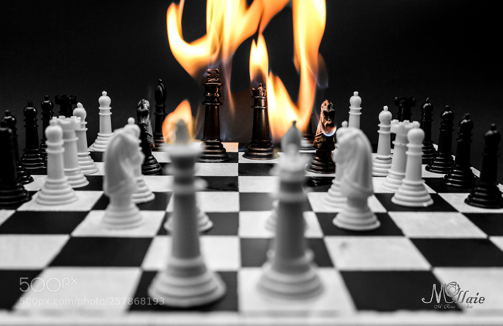 Canon EOS 600D (Rebel EOS T3i / EOS Kiss X5) sample photo. Play the kings vocabulary photography