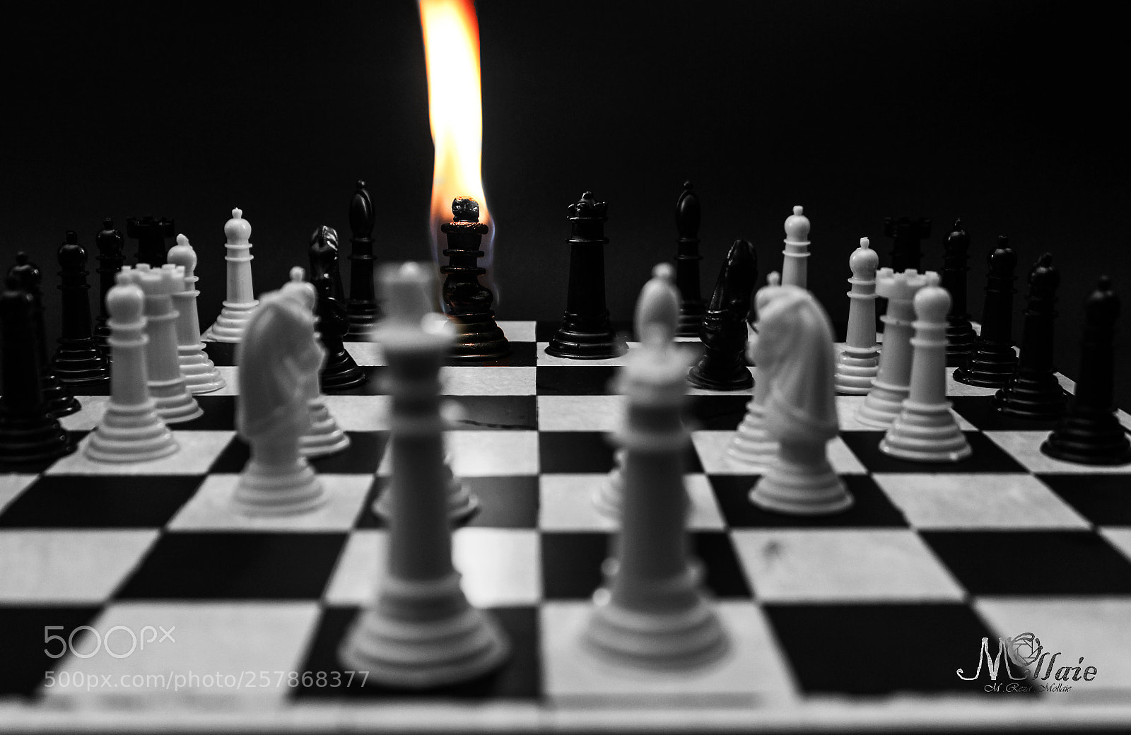 Canon EOS 600D (Rebel EOS T3i / EOS Kiss X5) sample photo. Play the kings vocabulary photography