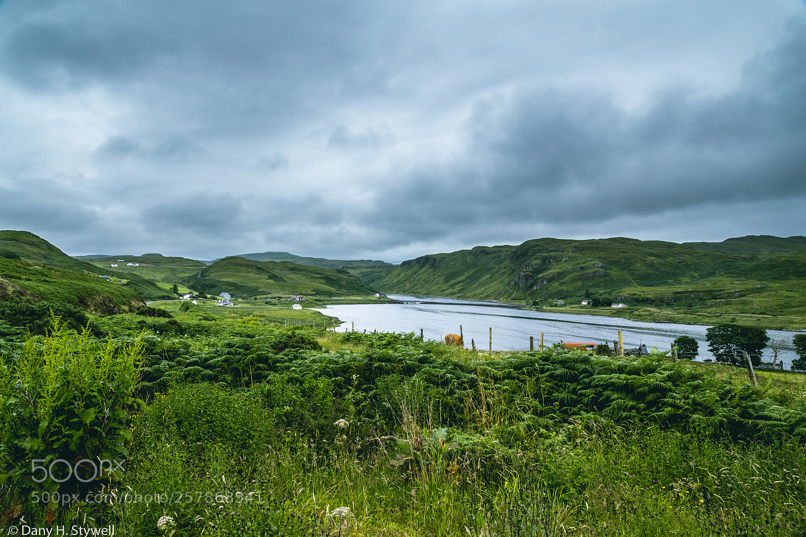 Canon EOS 6D sample photo. Ecosse photography