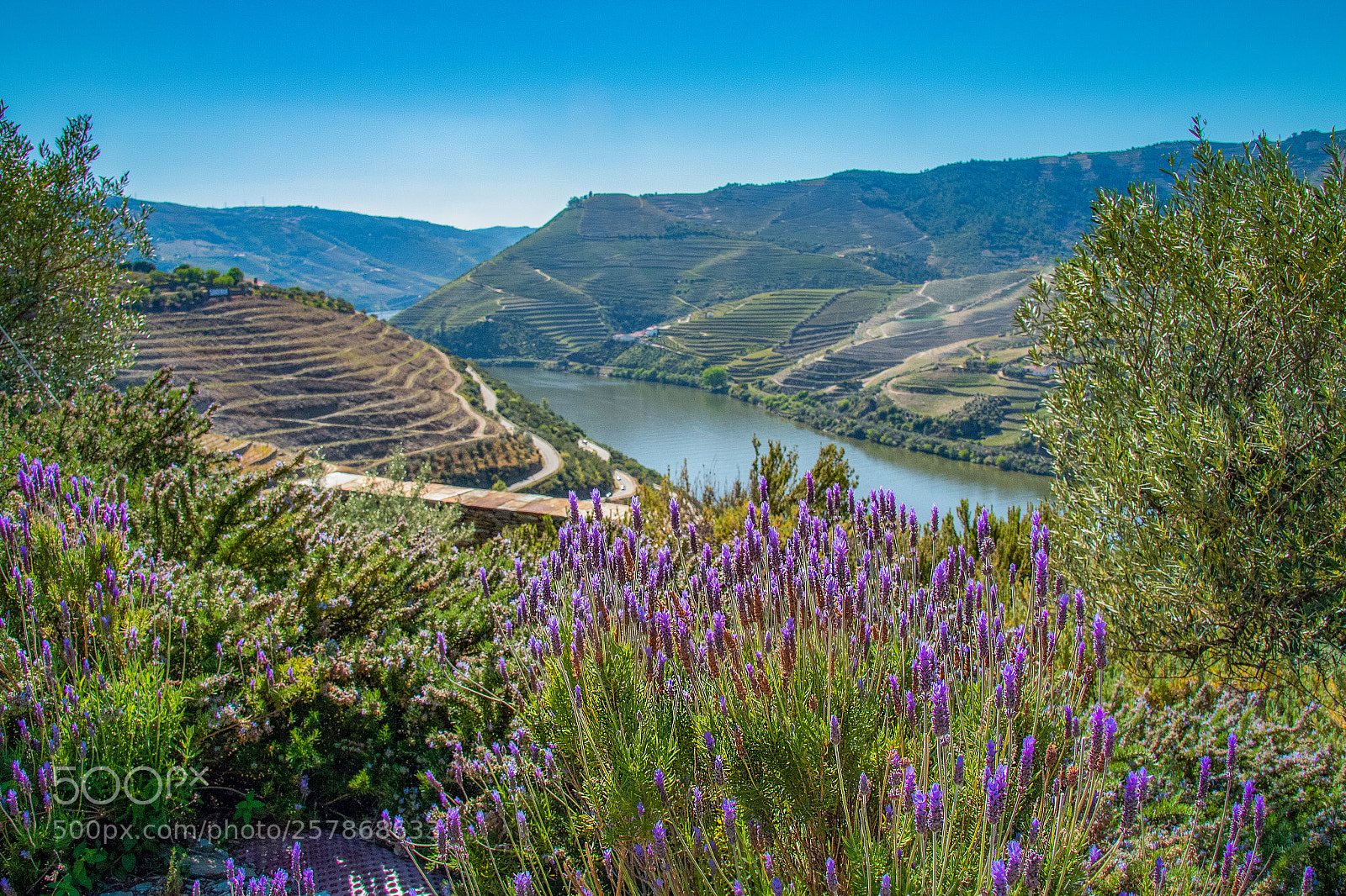Canon EOS 70D sample photo. Douro river portugal photography