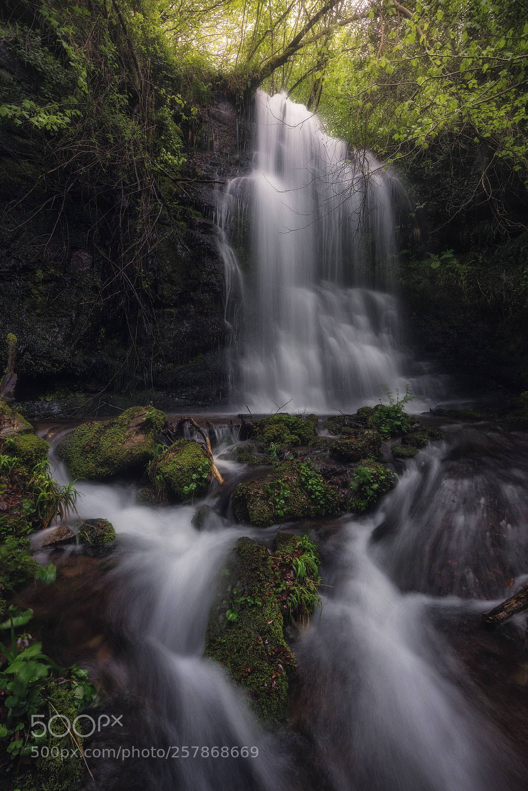 Nikon D810 sample photo. Magic fall photography