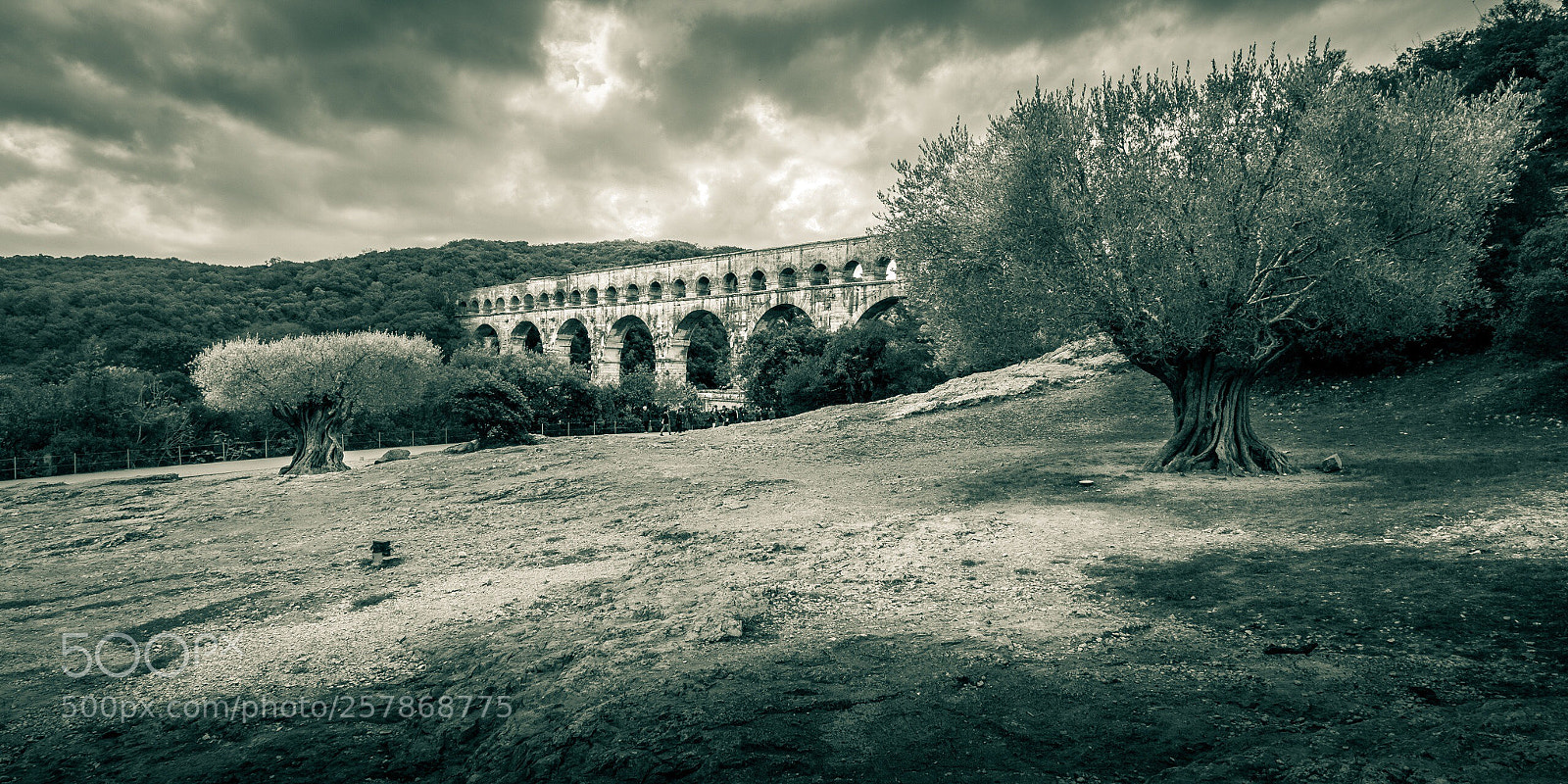 Canon EOS 6D sample photo. Pont du gard photography