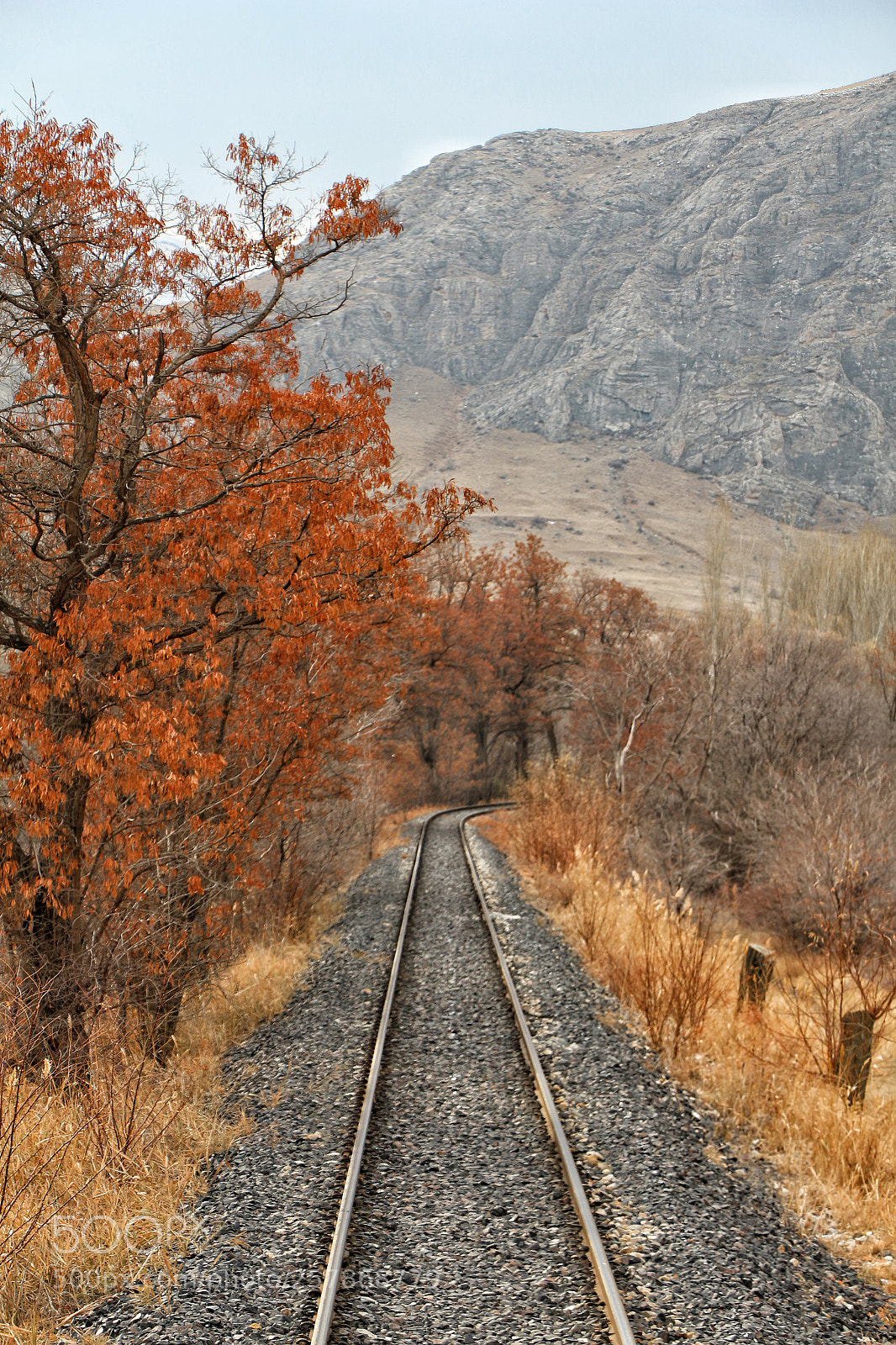 Canon EOS 700D (EOS Rebel T5i / EOS Kiss X7i) sample photo. Doğu ekspresi photography