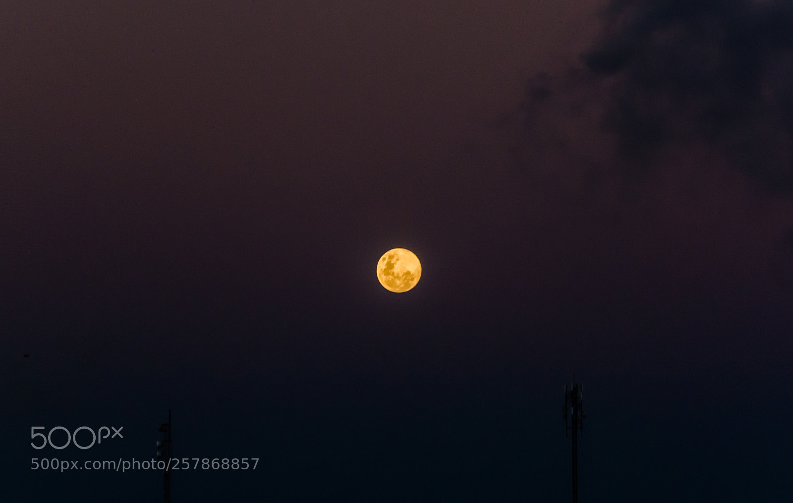 Nikon D5200 sample photo. Full moon party photography