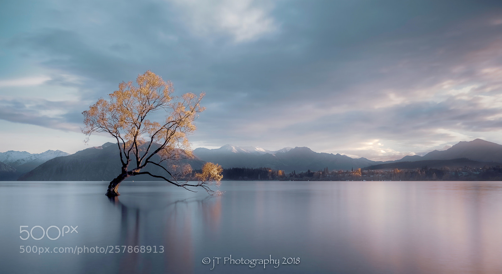 Sony a7R III sample photo. Lone tree of lake photography