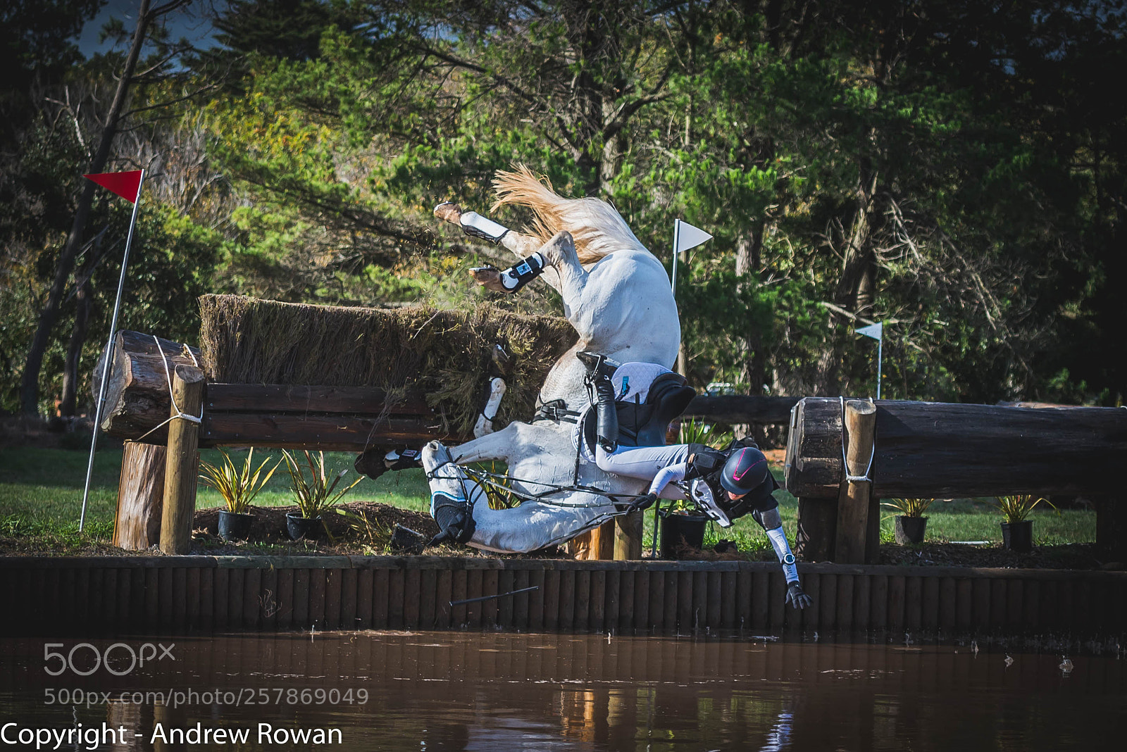Nikon D610 sample photo. The fall photography