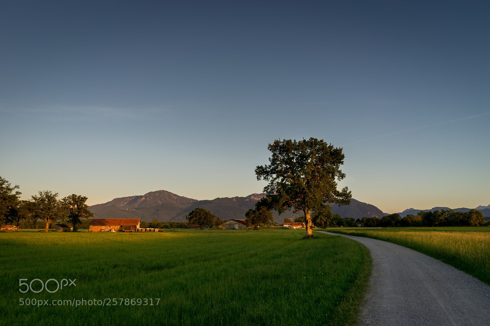 Sony a7 II sample photo. Lachsgang sunset stroll photography