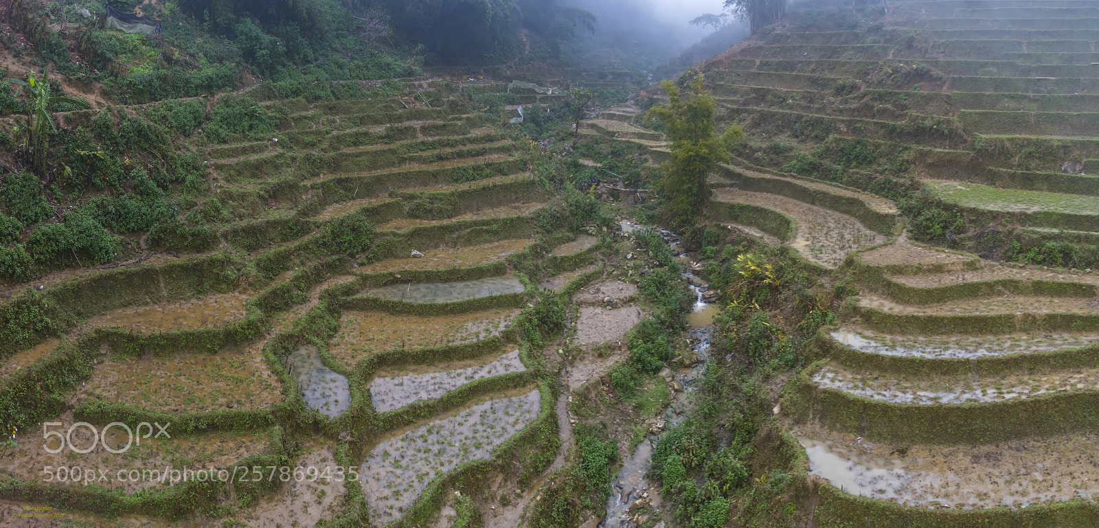 Nikon D500 sample photo. Vietnam , sapa area photography