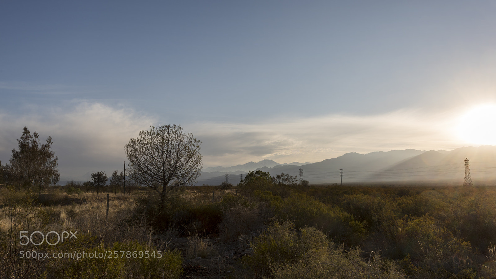 Nikon D810 sample photo. Untitled photography
