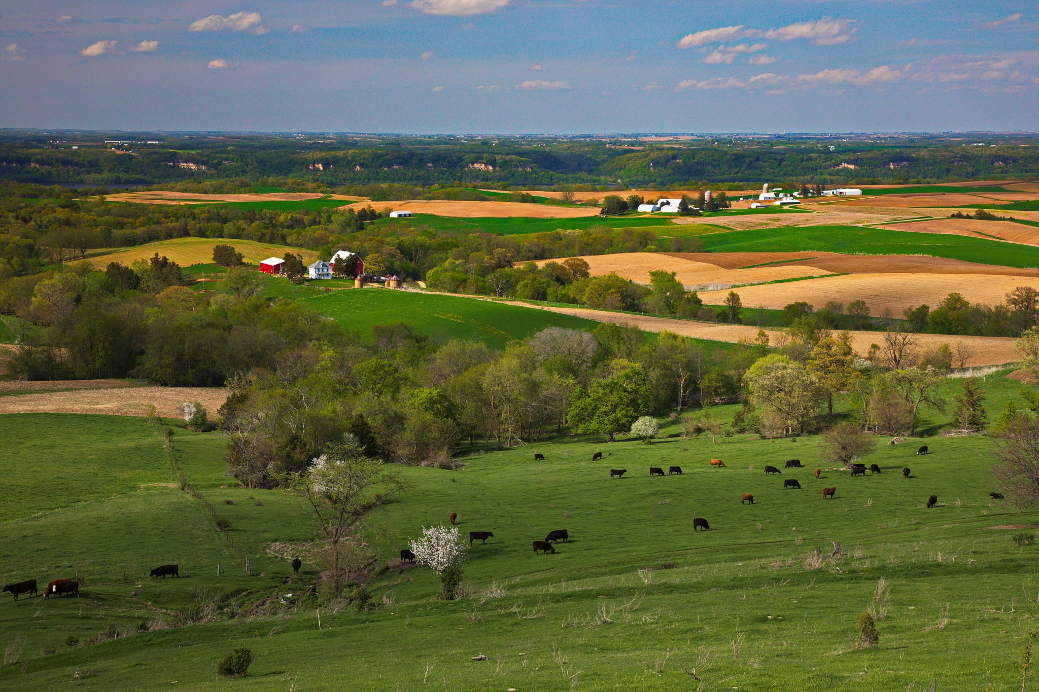 Canon EF 24-105mm F4L IS II USM sample photo. Iowa pastoral photography