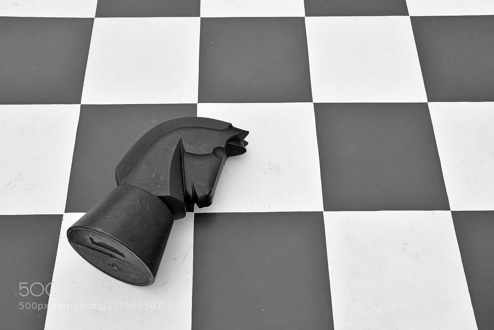 Nikon D7200 sample photo. Fallen horse photography