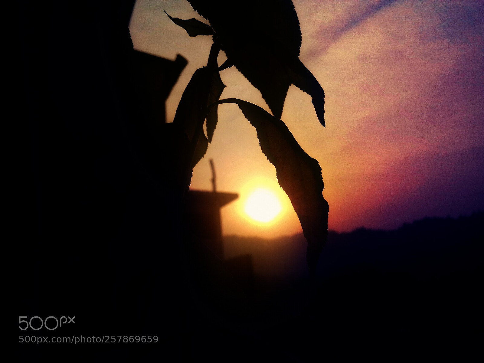 Samsung Galaxy J3(2016) sample photo. Picsart photography
