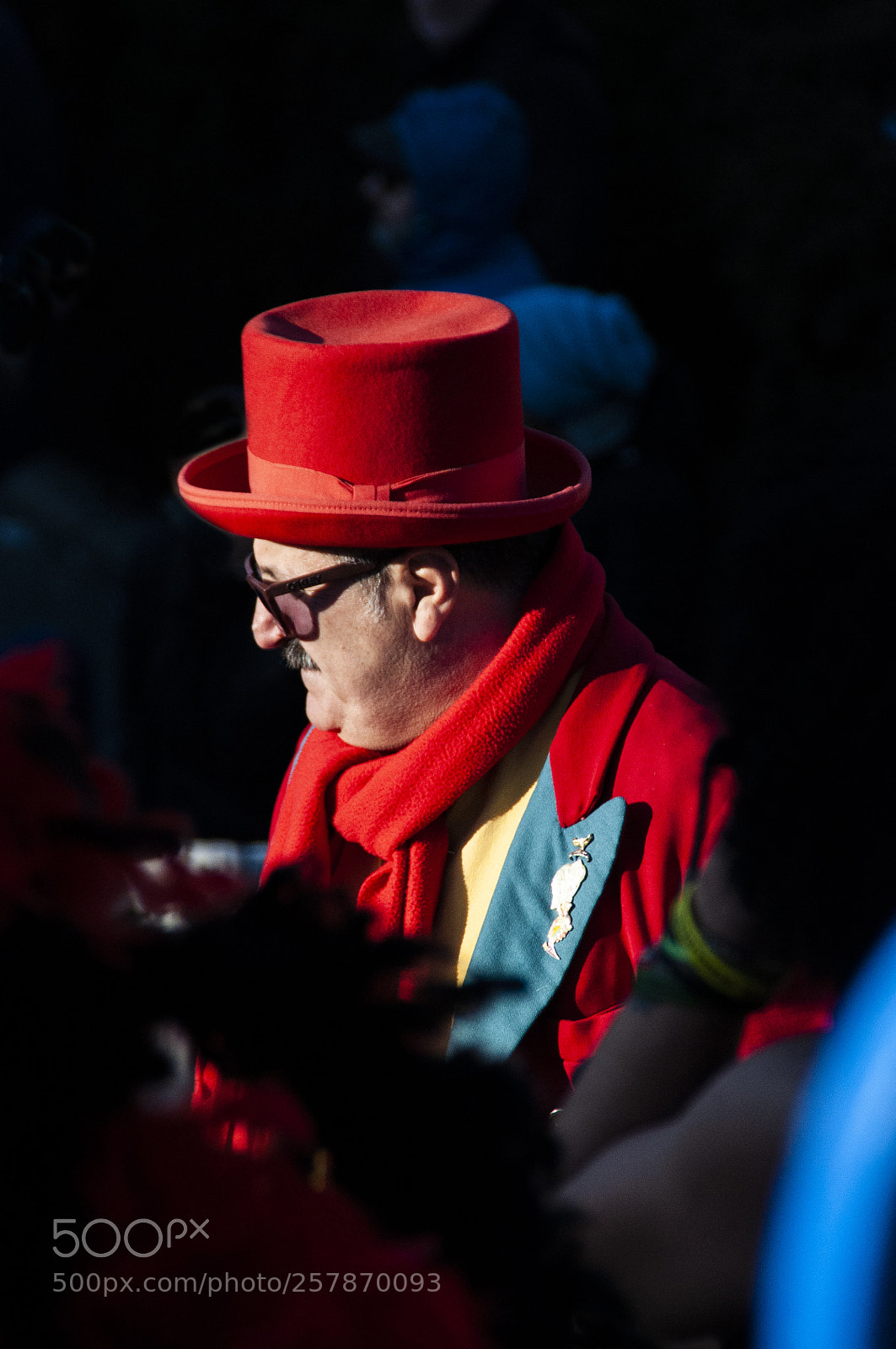 Nikon D5000 sample photo. Red in carnival photography