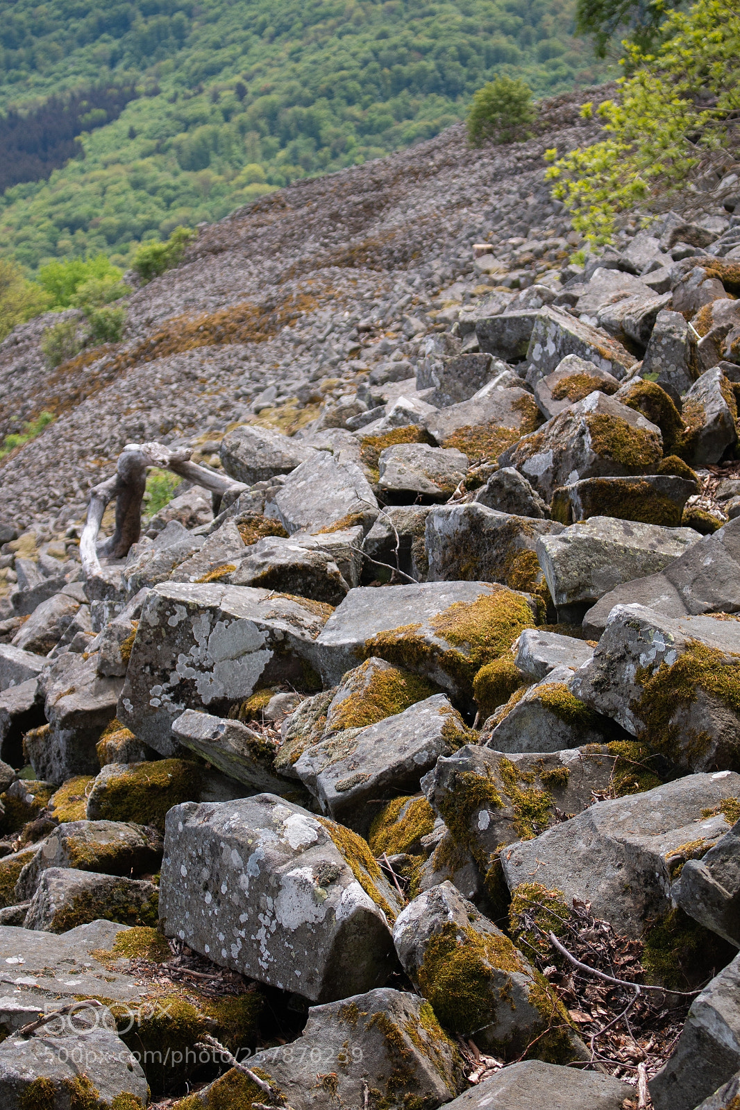Canon EOS 70D sample photo. Rollin´rollin´rollin rocks photography