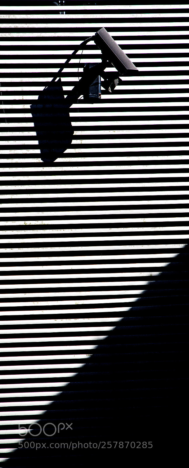 Canon EOS 40D sample photo. The watcher photography