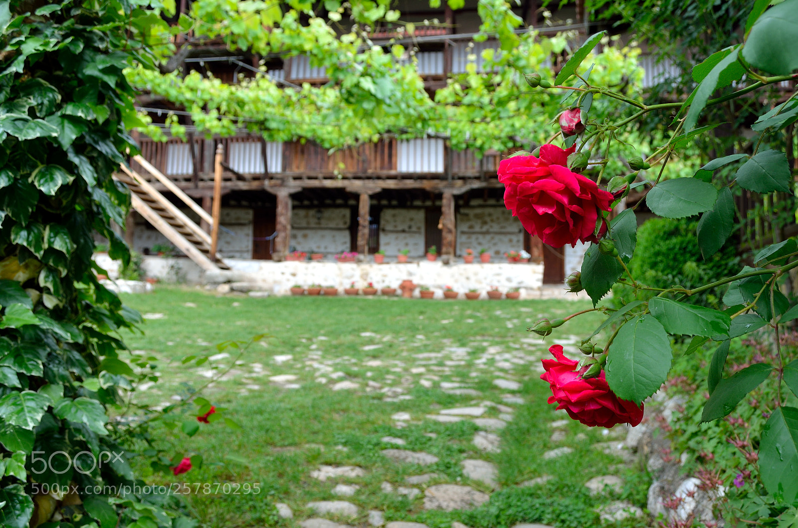 Nikon D5100 sample photo. Peaceful photography