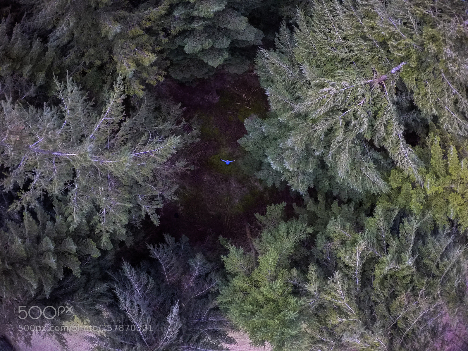 GoPro Hero5 Black sample photo. A birds eye view  photography