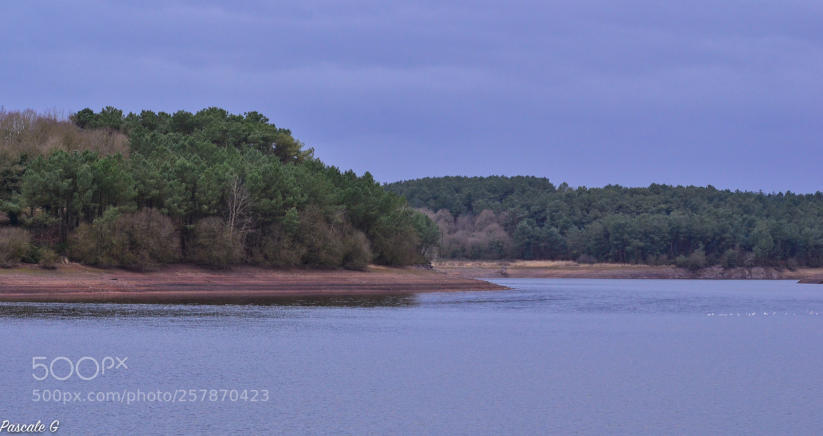 Nikon D5100 sample photo. Saint-thurial photography