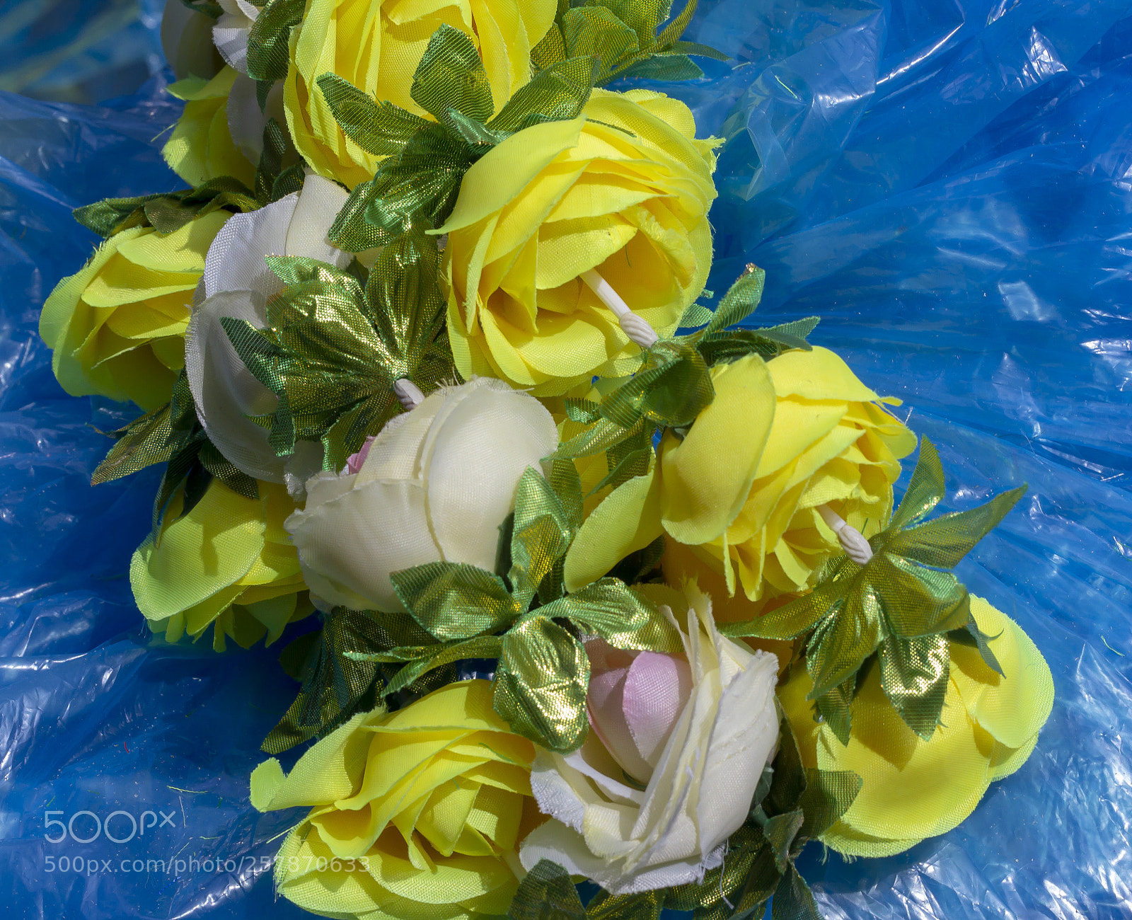 Canon EOS 60D sample photo. Sikh parade 4 28 photography