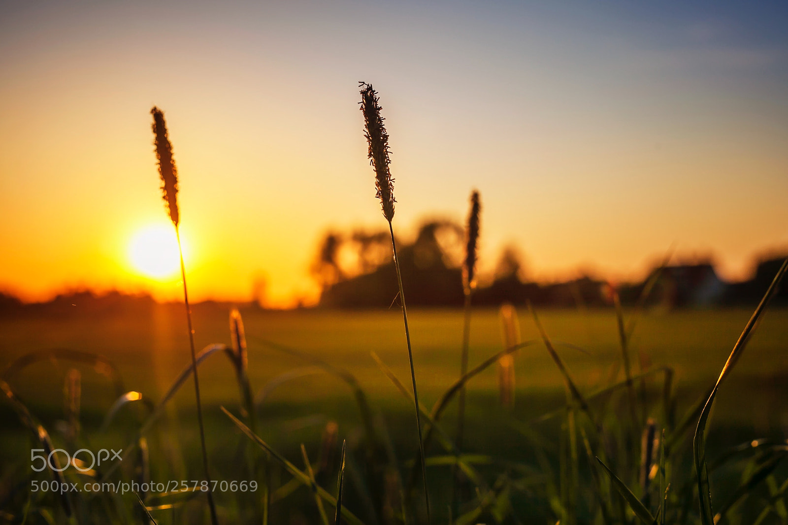 Canon EOS 5D Mark II sample photo. Sunset timing photography
