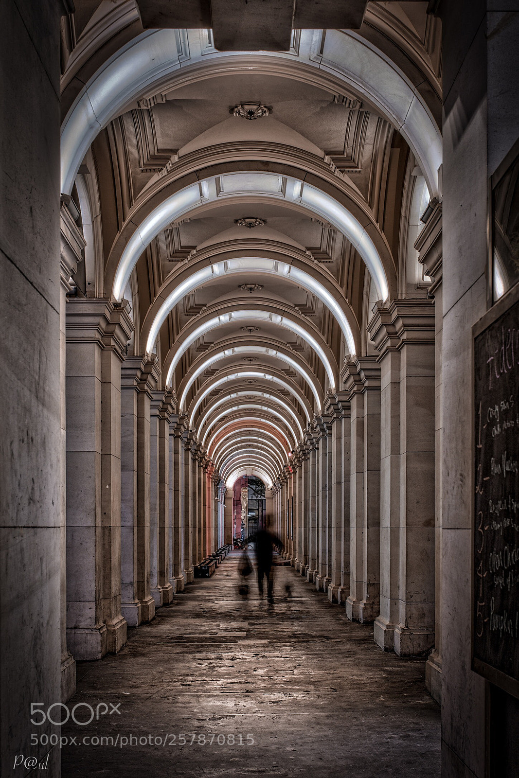 Nikon D7200 sample photo. Who’s running ??? photography