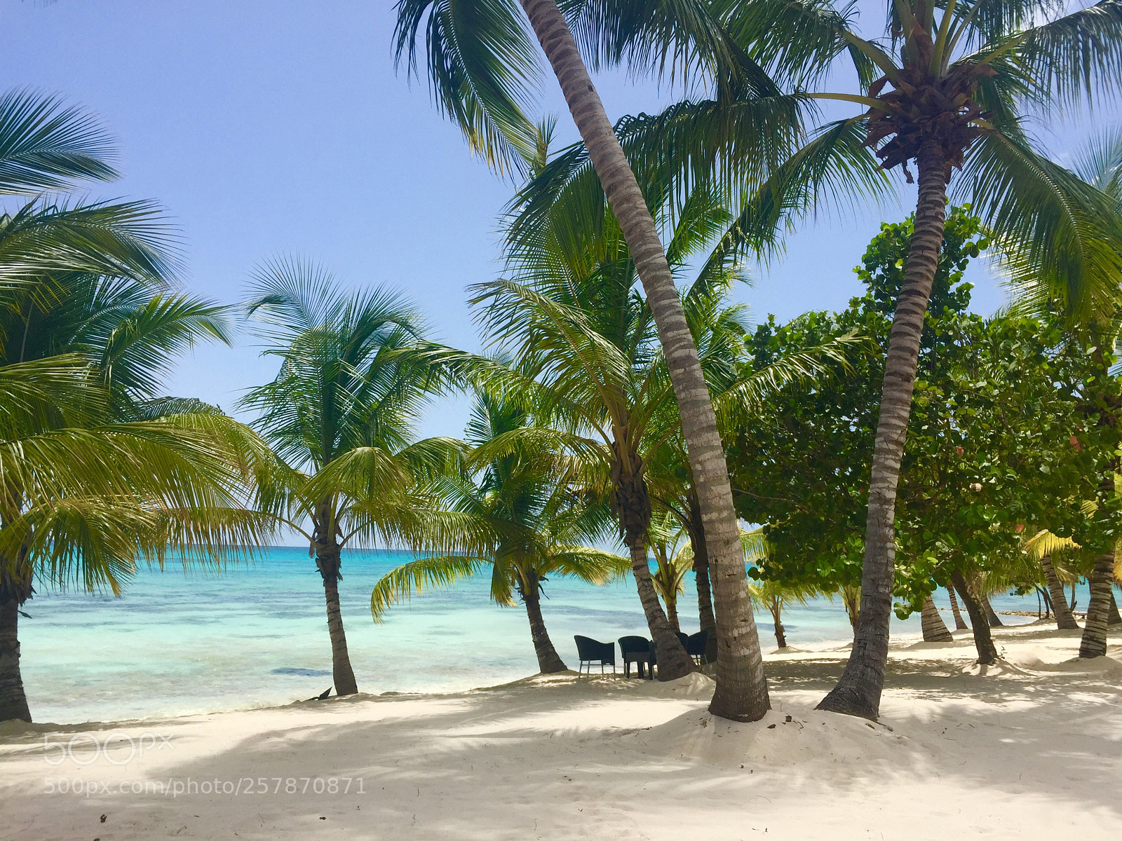 Apple iPhone 6 sample photo. Dominican republic bby photography