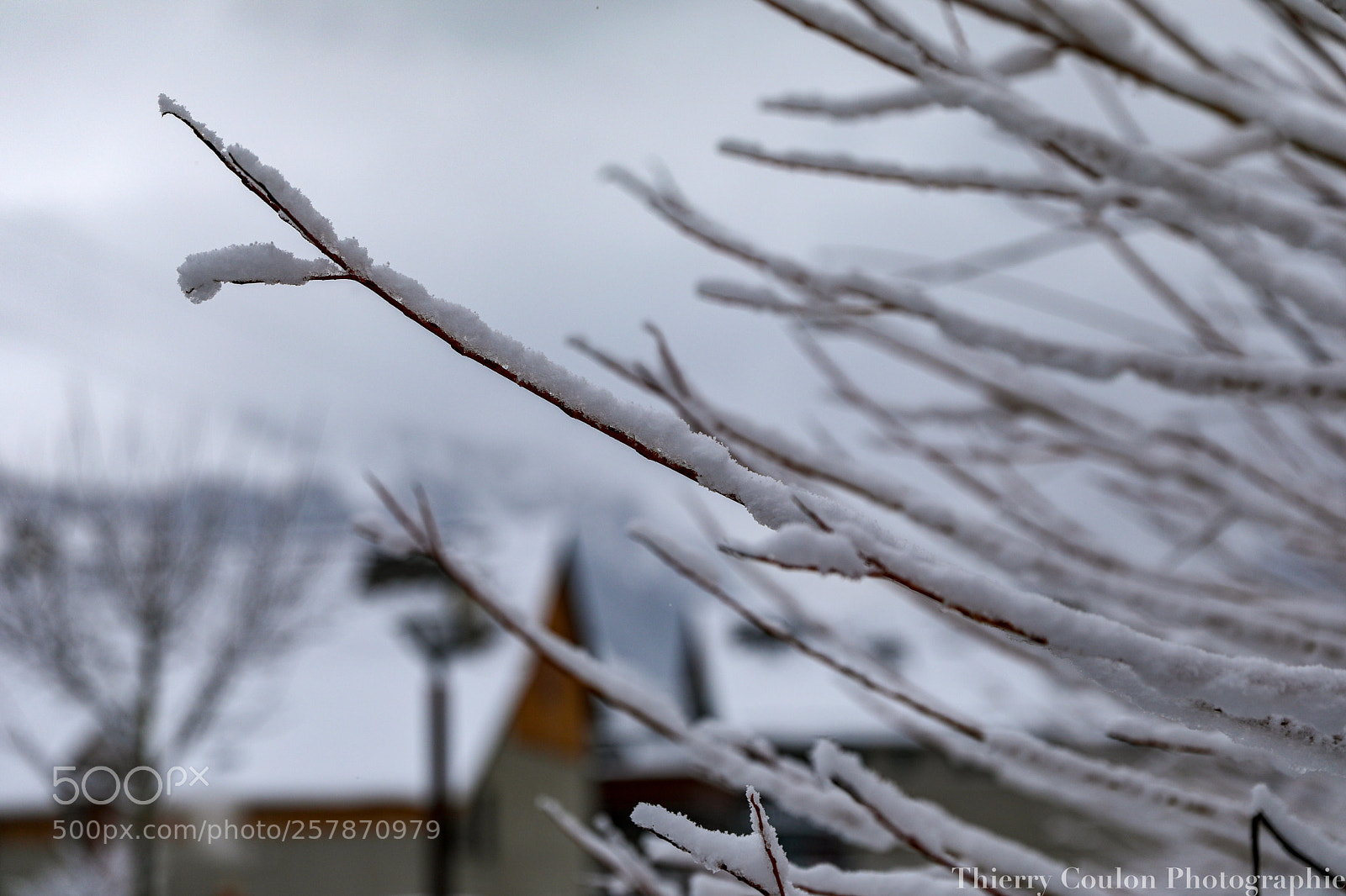 Canon EOS 5D Mark IV sample photo. Neige le lundi  photography