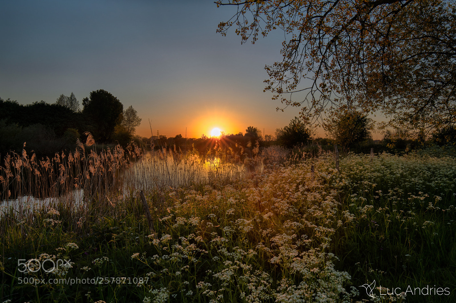 Canon EOS 5D Mark IV sample photo. Generous spring evening photography