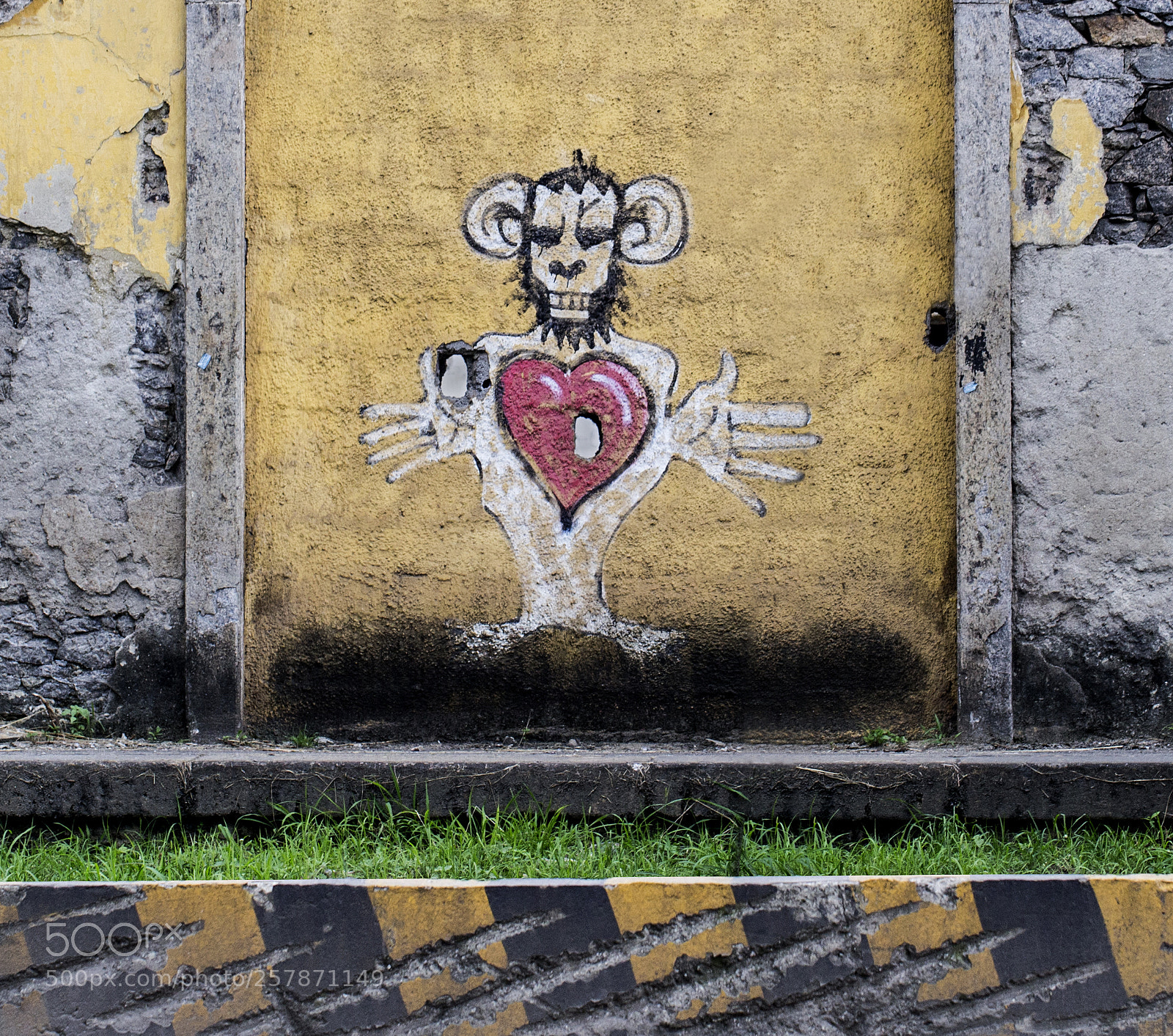 Canon EOS 6D sample photo. Monkey love photography