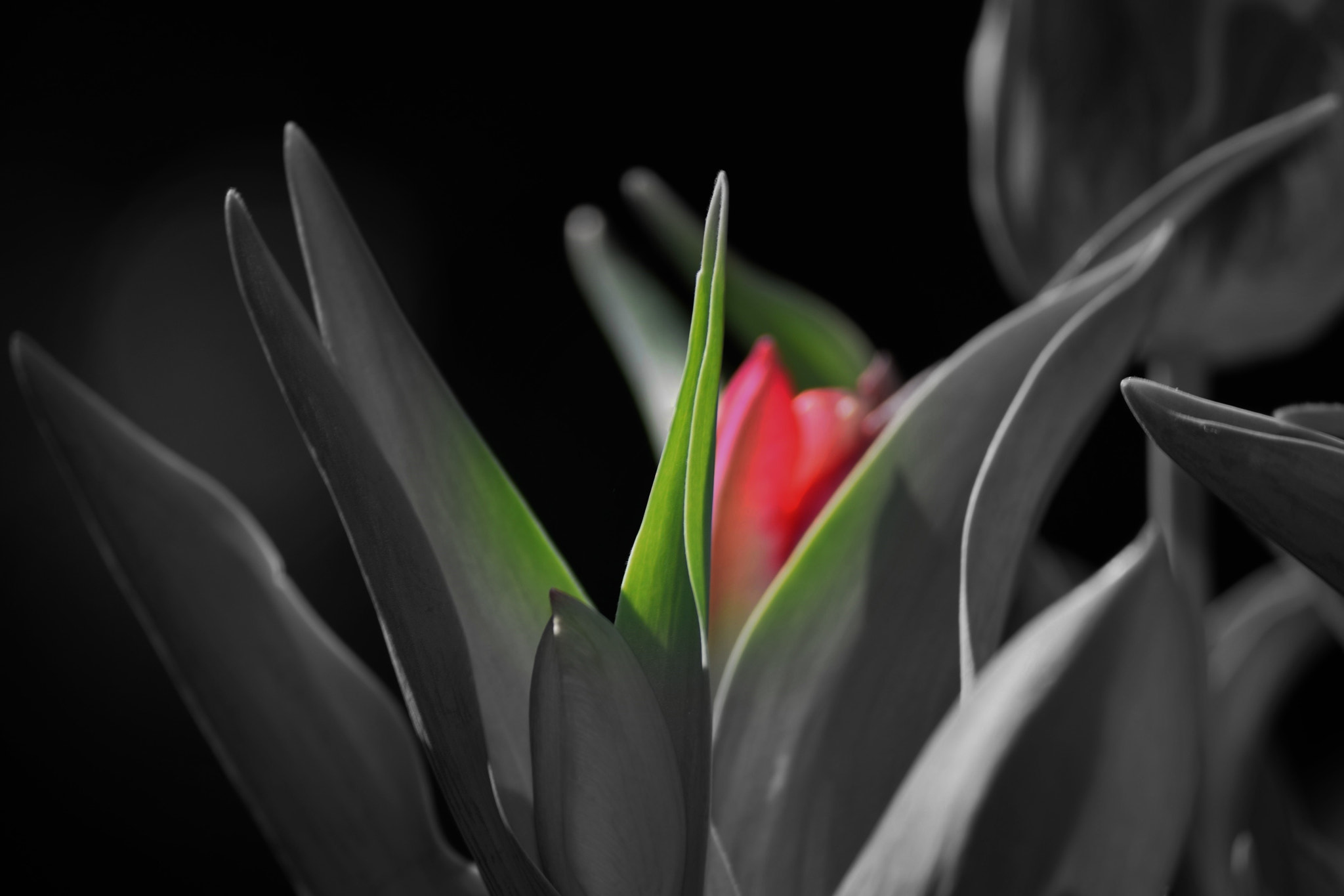 Nikon D5300 sample photo. "one's own self..." photography