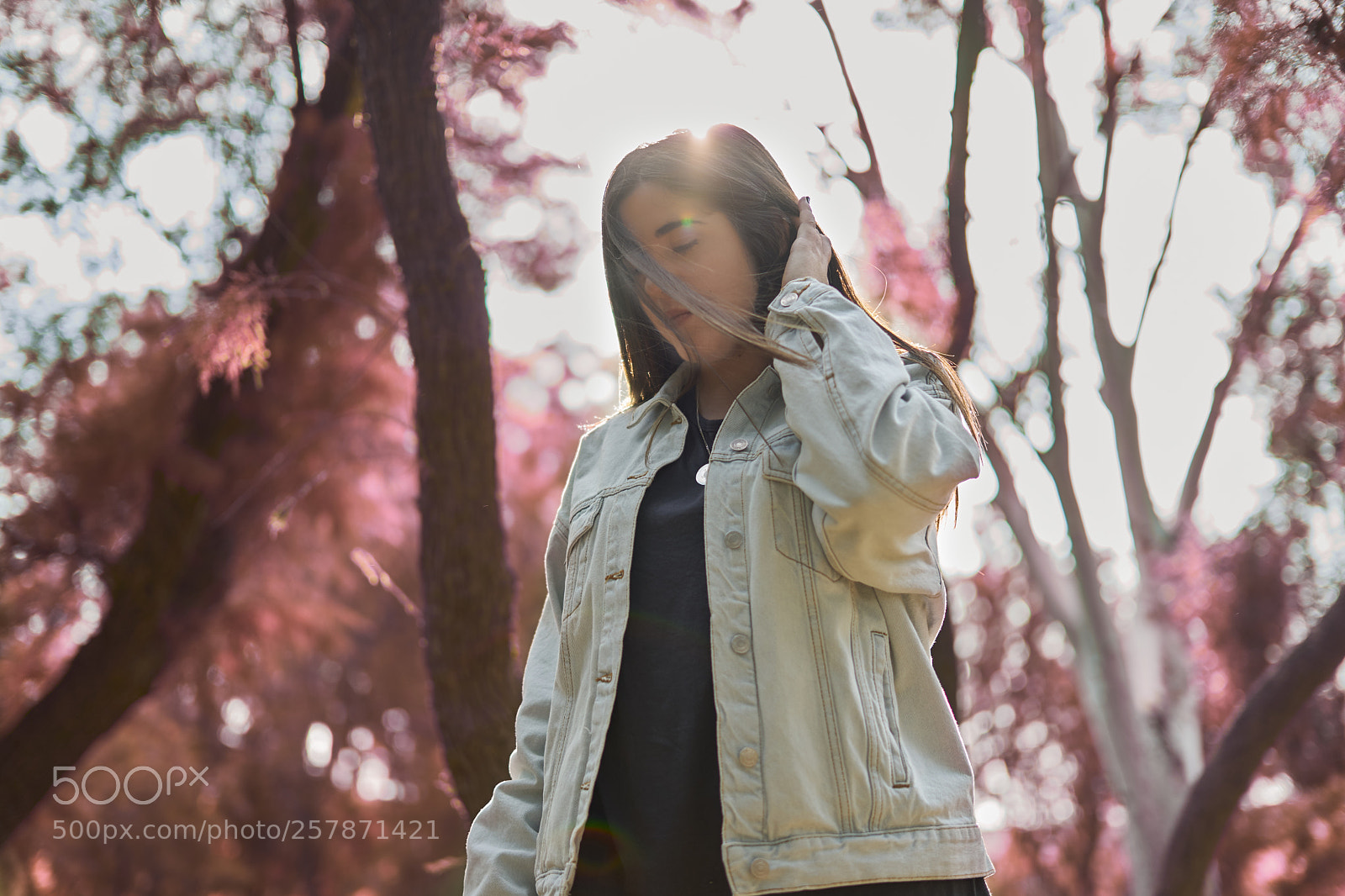 Sony a7 sample photo. Life vibes photography
