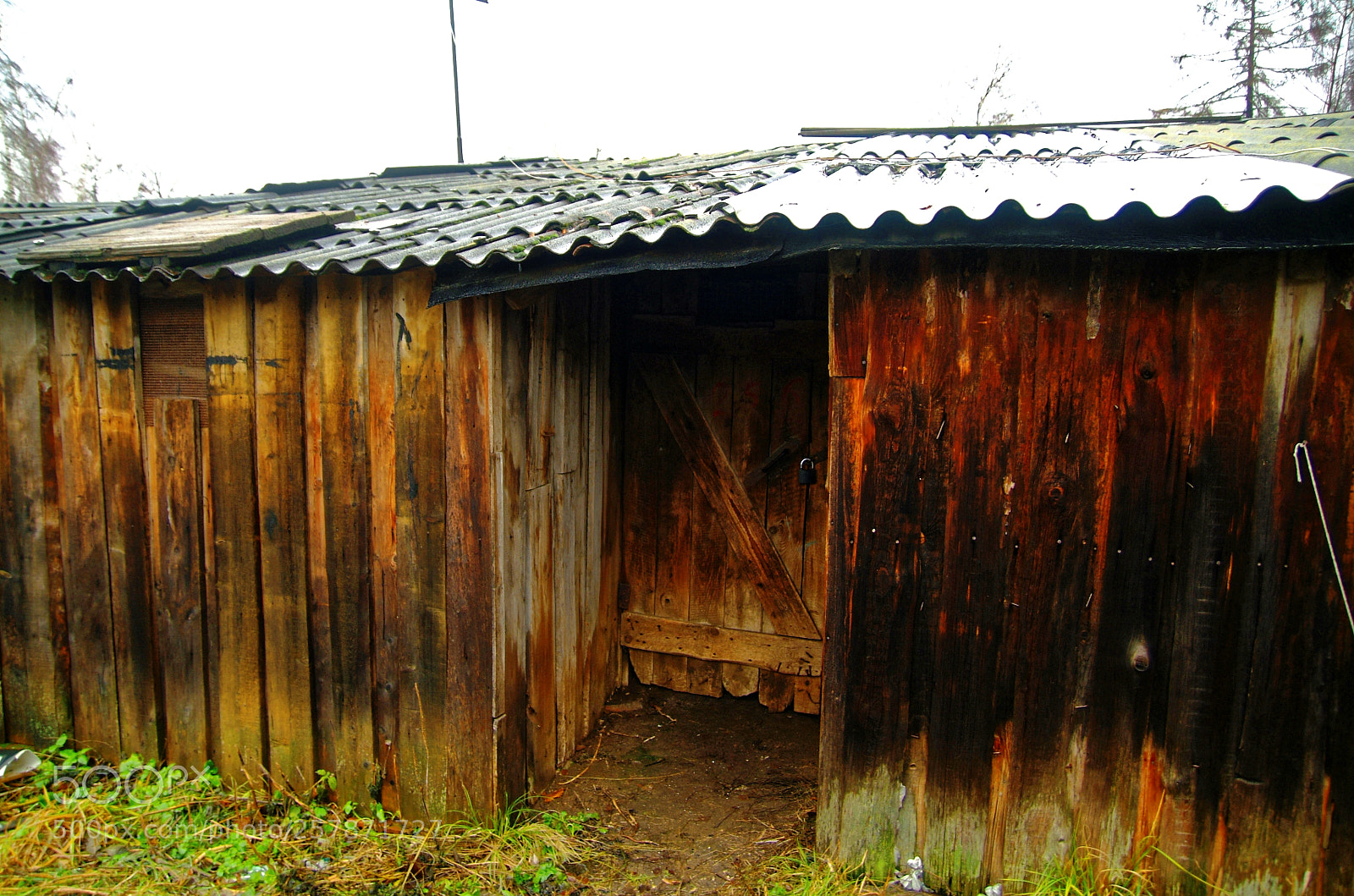 Fujifilm FinePix S3 Pro sample photo. The roof of slate photography