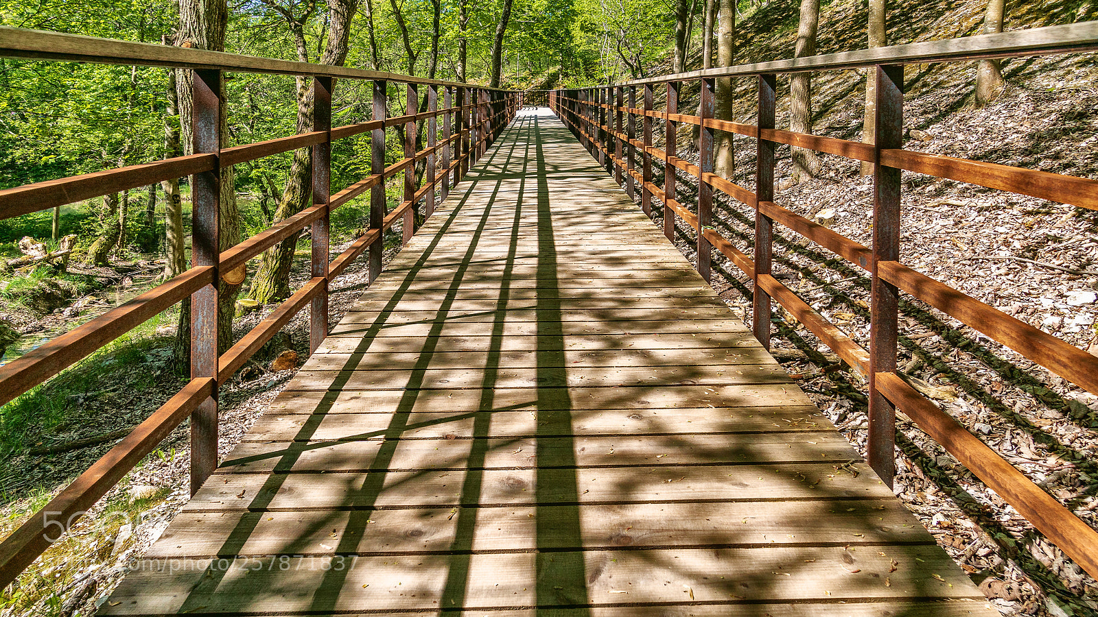 Sony ILCA-77M2 sample photo. Shadow lines on a photography