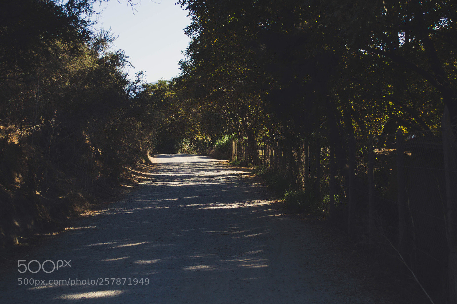 Nikon D3100 sample photo. Caminos  photography