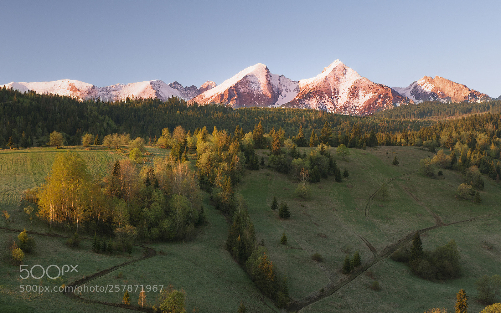 Nikon D3 sample photo. The first rays of photography