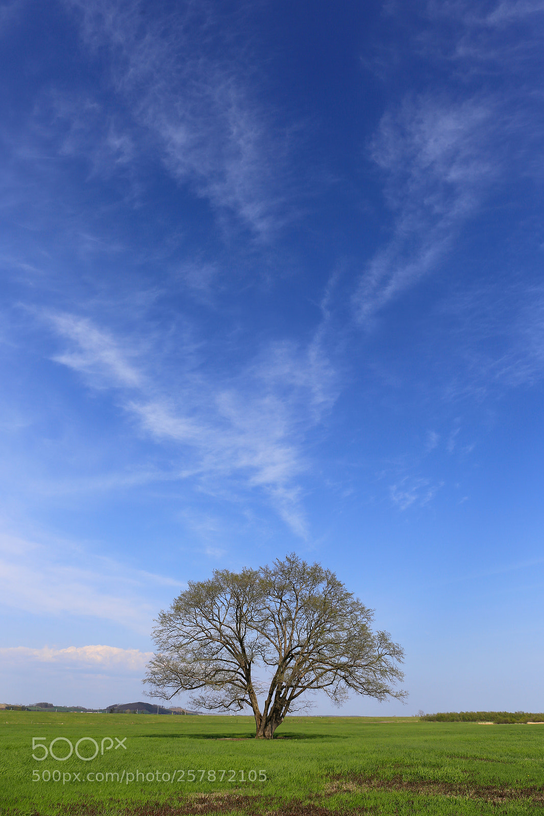 Canon EOS 6D sample photo. Breakthrough photography