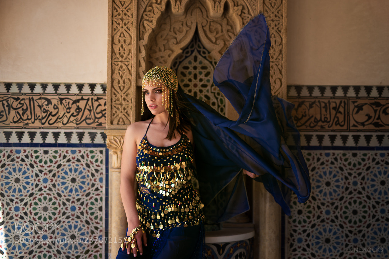 Nikon D610 sample photo. Budur photography