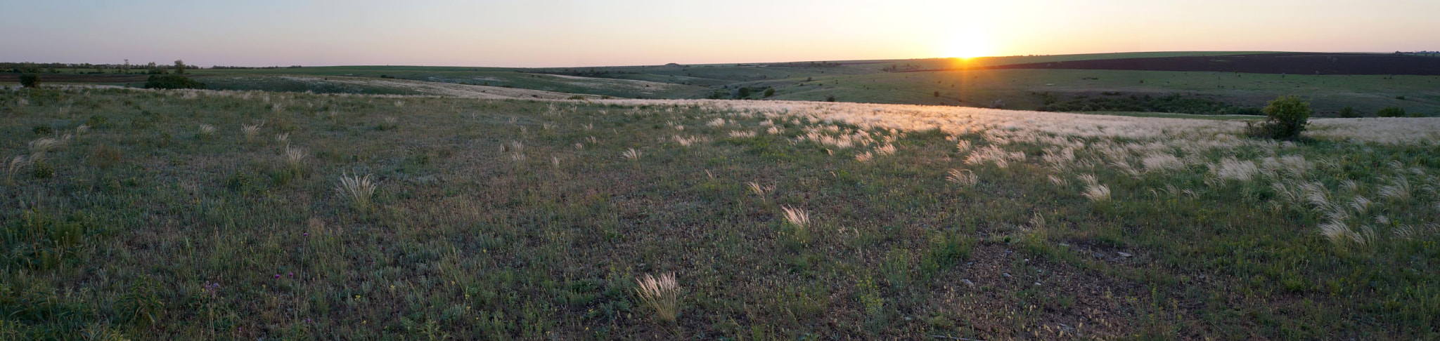 Sony Alpha NEX-F3 sample photo. The ukrainian steppe in may. photography