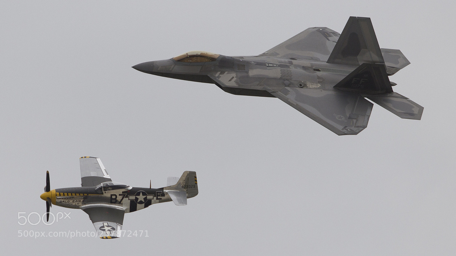 Canon EOS 60D sample photo. Raptor and a mustang photography