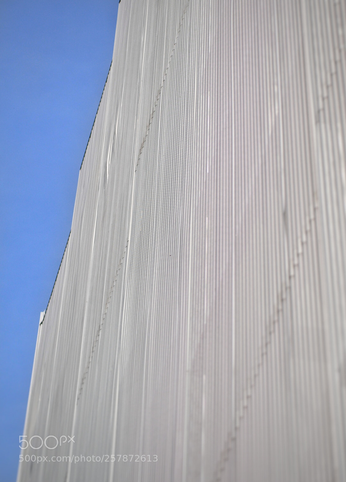 Nikon D3000 sample photo. Untitled photography