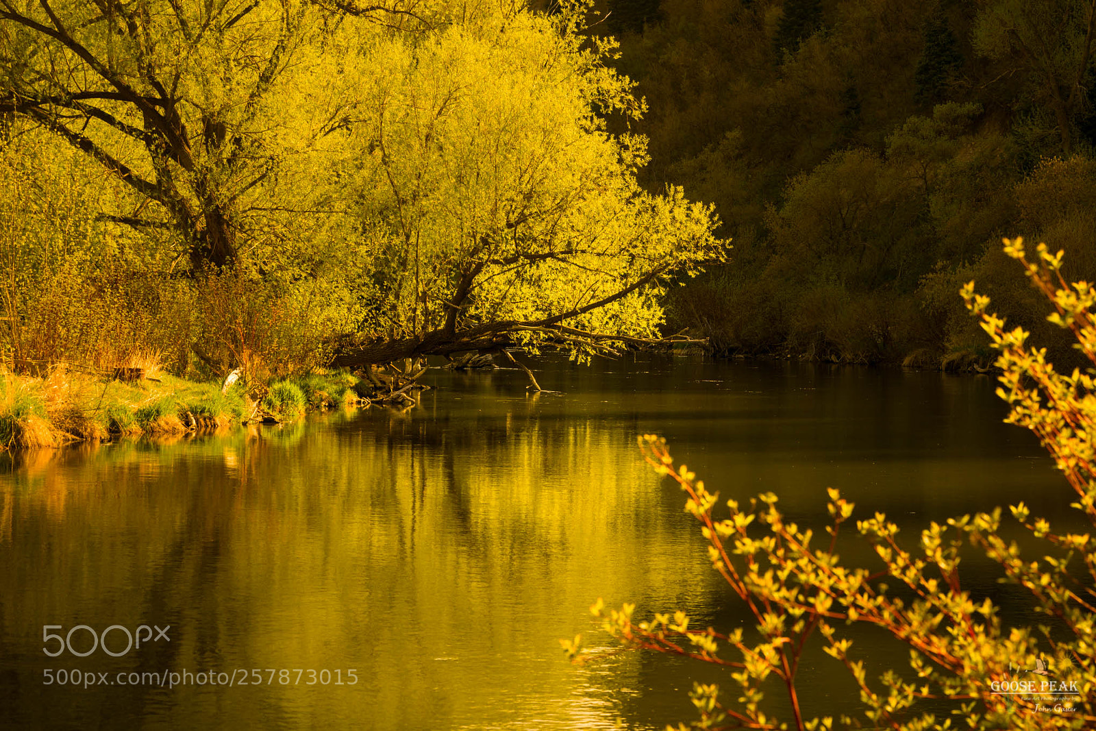 Sony a7R II sample photo. Golden morning sunlight photography