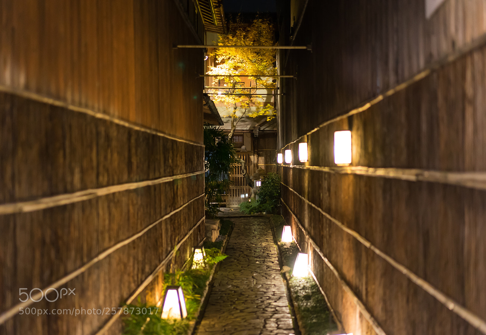 Sony a7 II sample photo. Ryotei photography