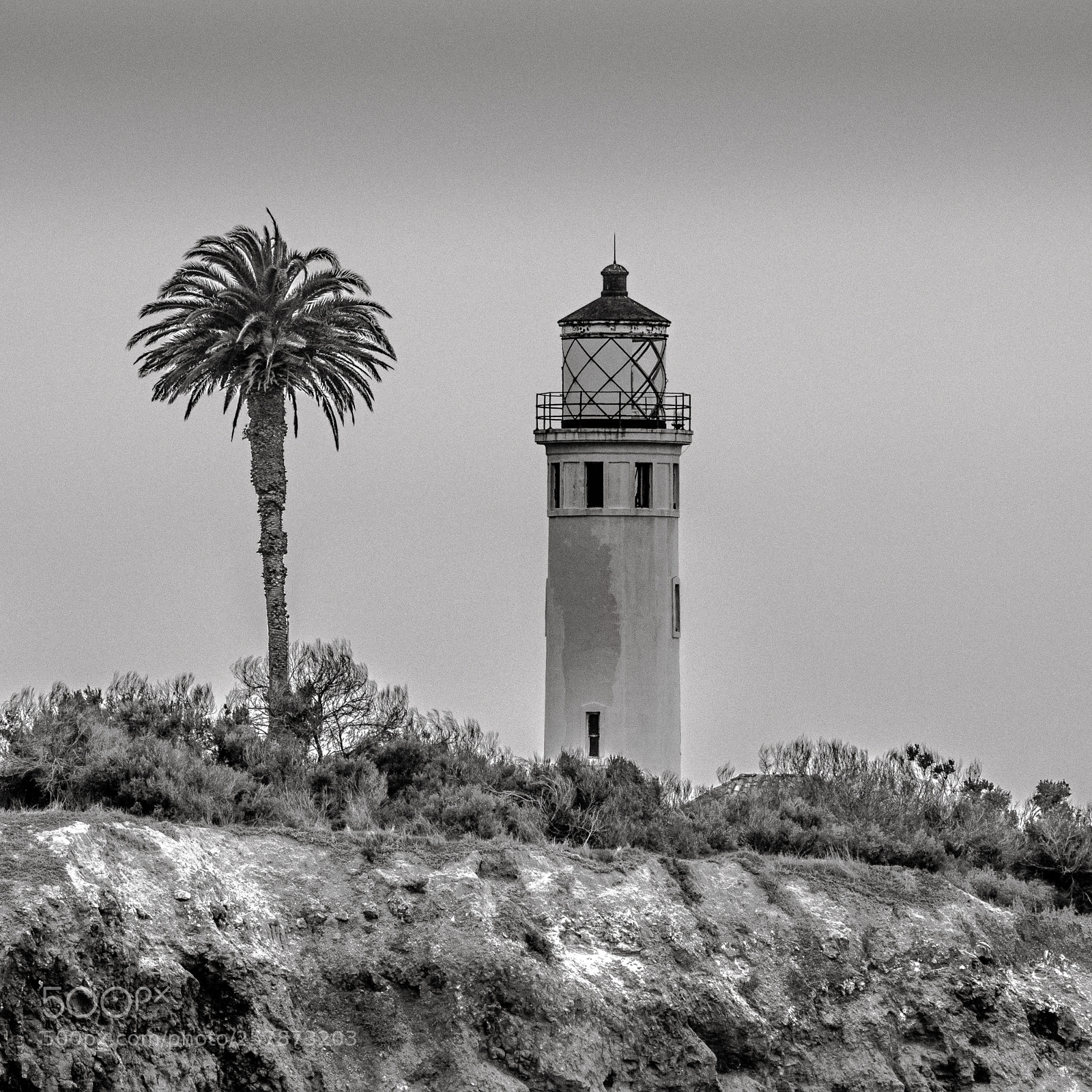 Nikon D7200 sample photo. Lost photography