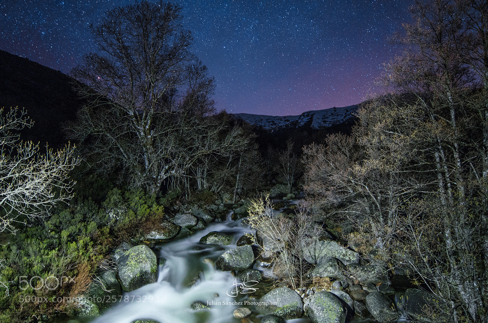 Nikon D5100 sample photo. Beautiful night... photography