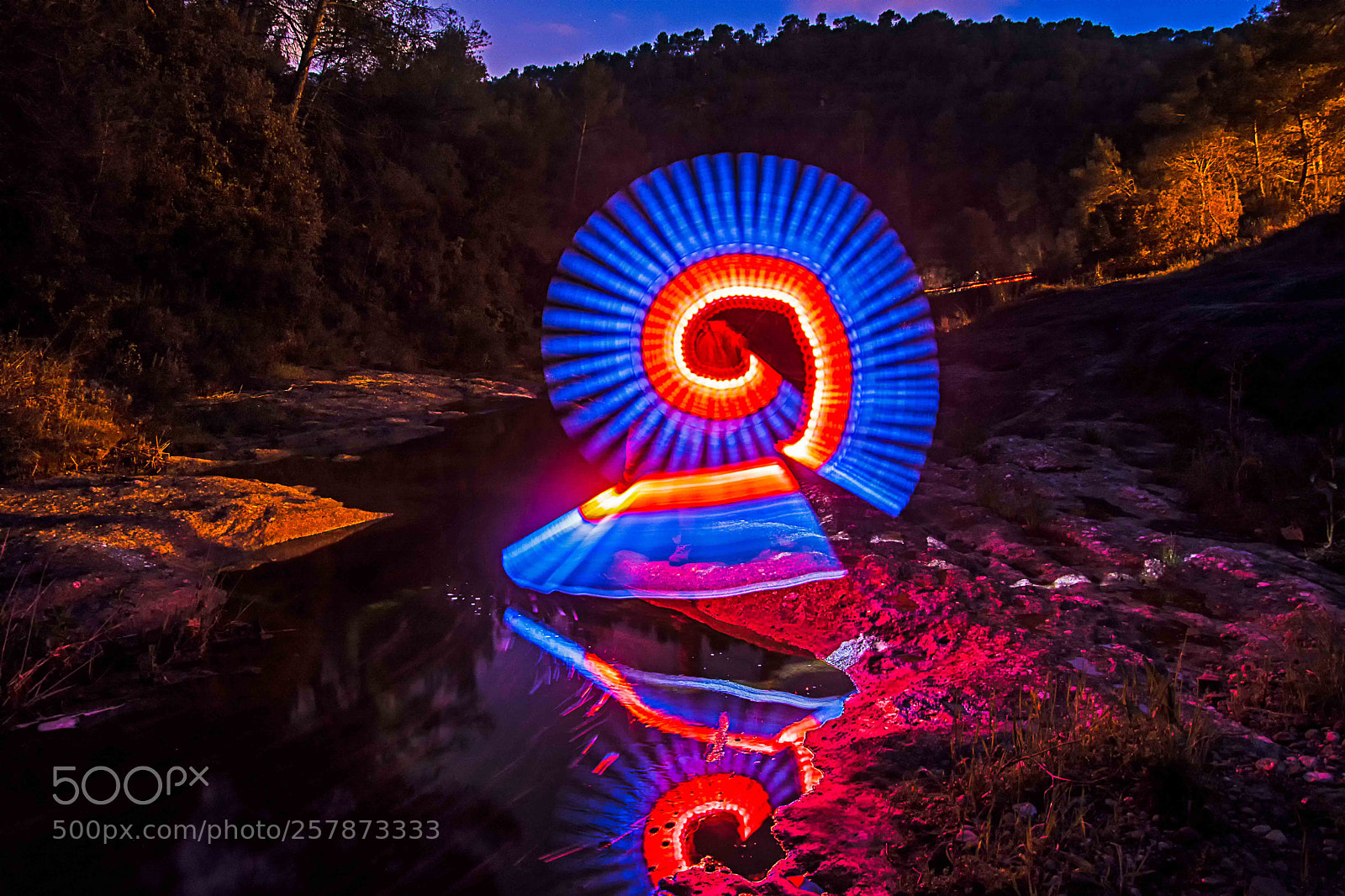 Nikon D7200 sample photo. Caracol de luz photography
